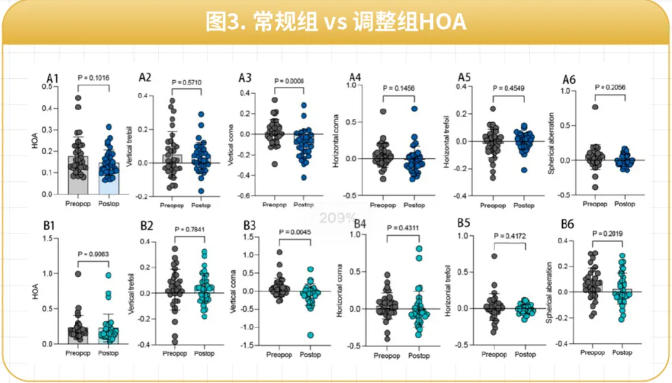 1770259953175475.jpg 4.jpg